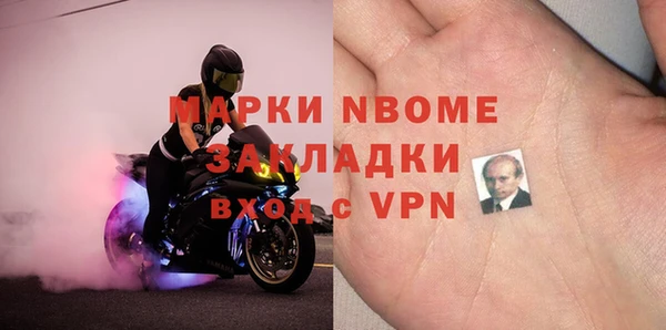 крисы Ельня