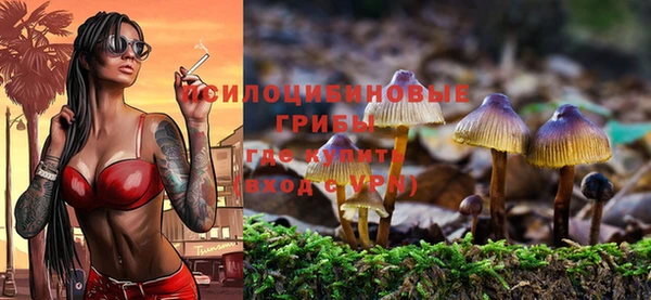 ALPHA PVP Алзамай