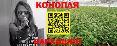jwh Кинель